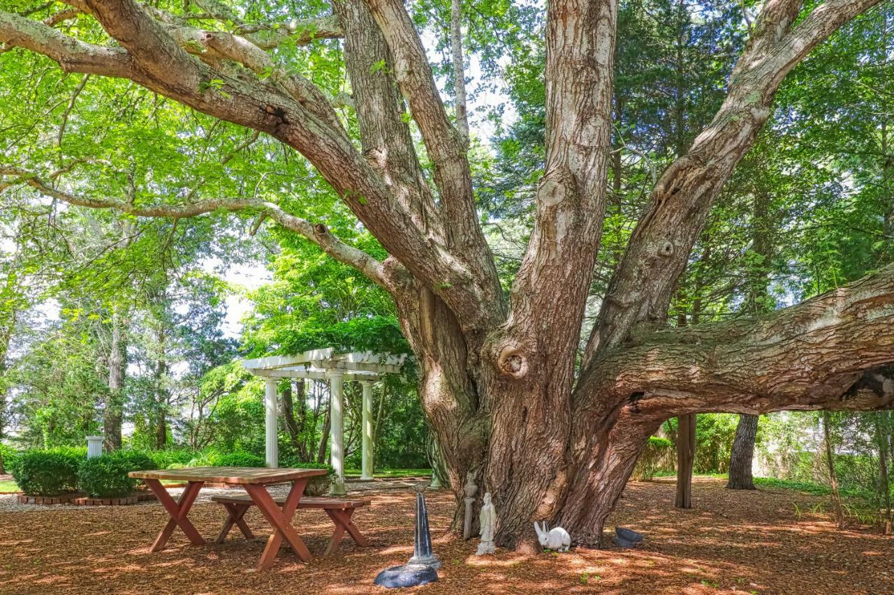 Lily Hill Vineyard Haven Exterior foto